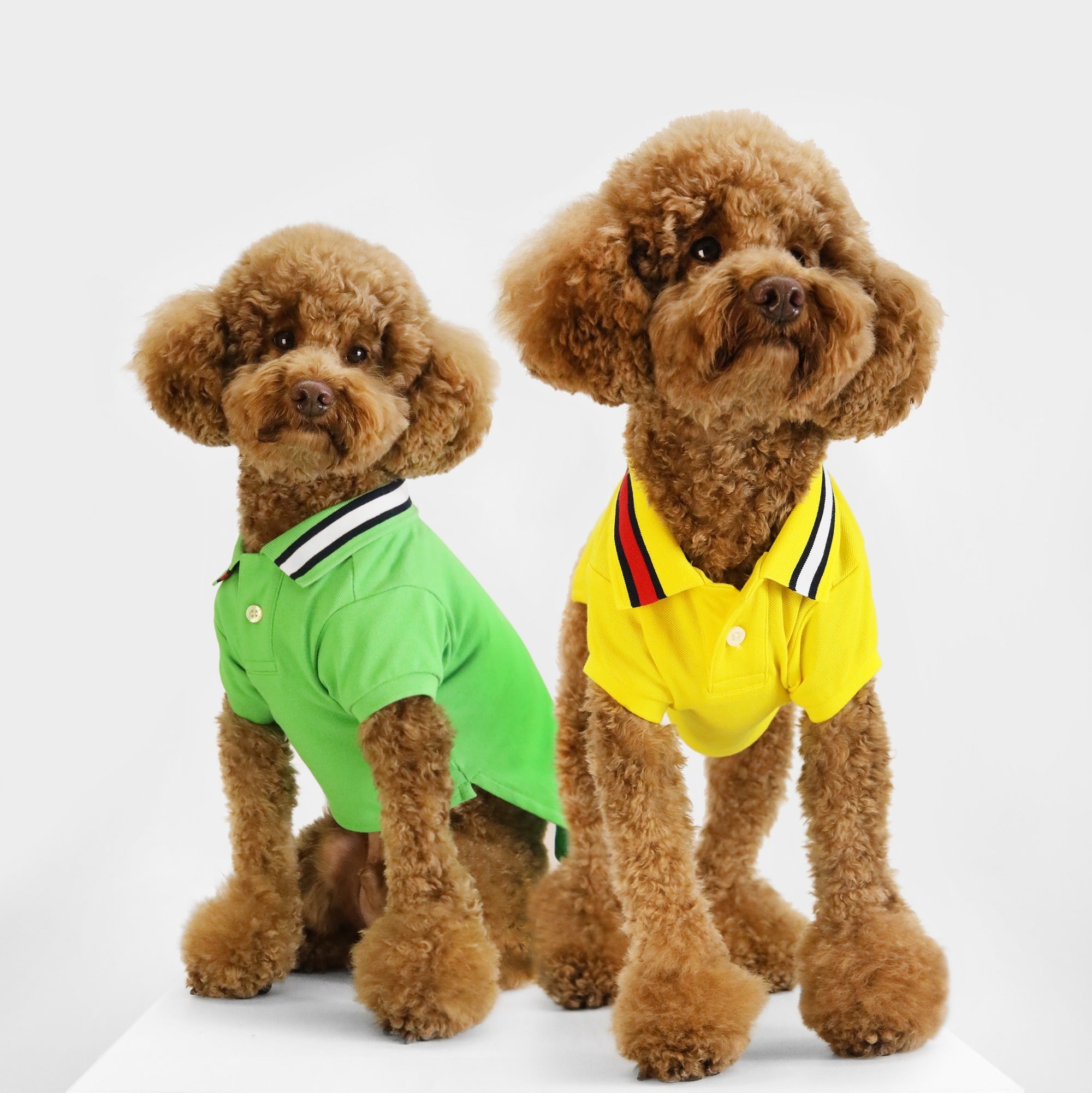 Tommy Hilfiger Flag Collar Polo