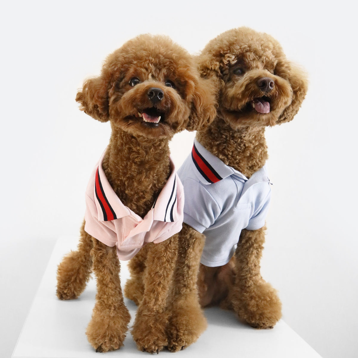 Tommy Hilfiger Flag Collar Polo