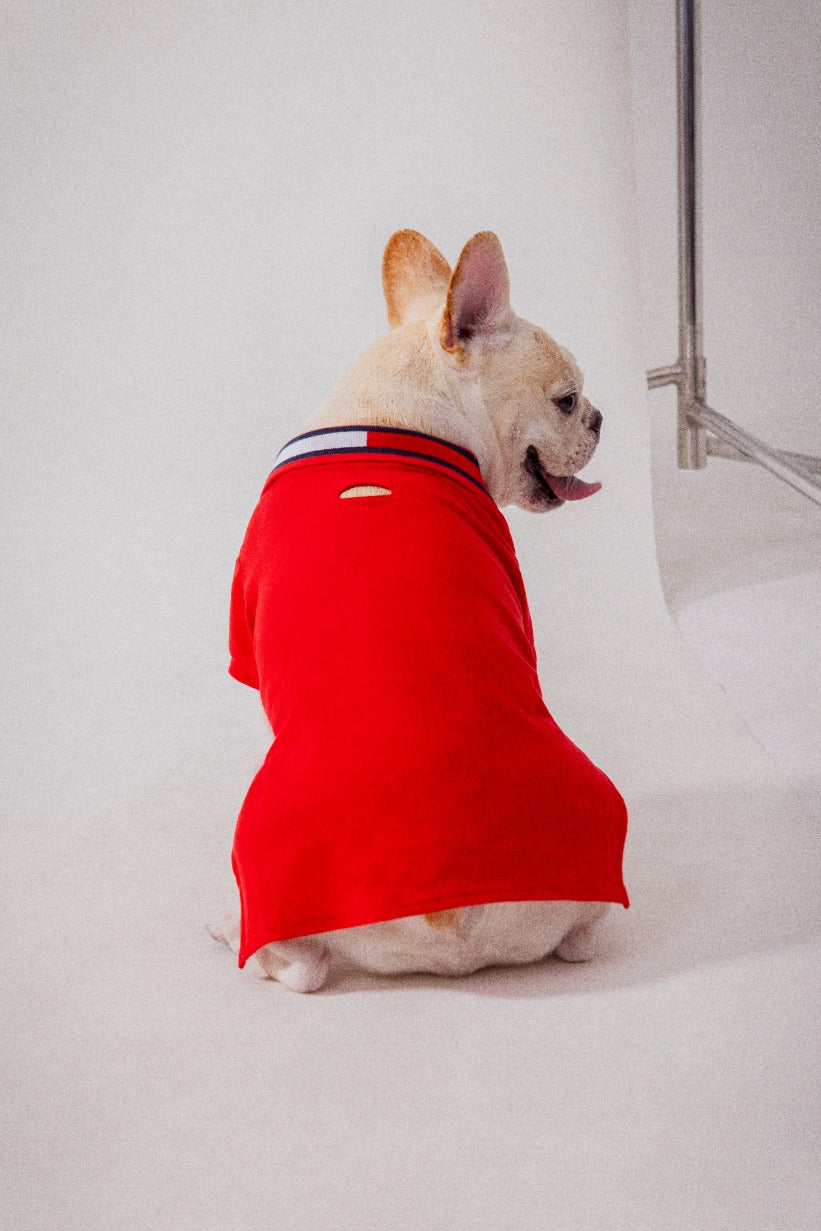 Tommy Hilfiger Flag Collar Polo