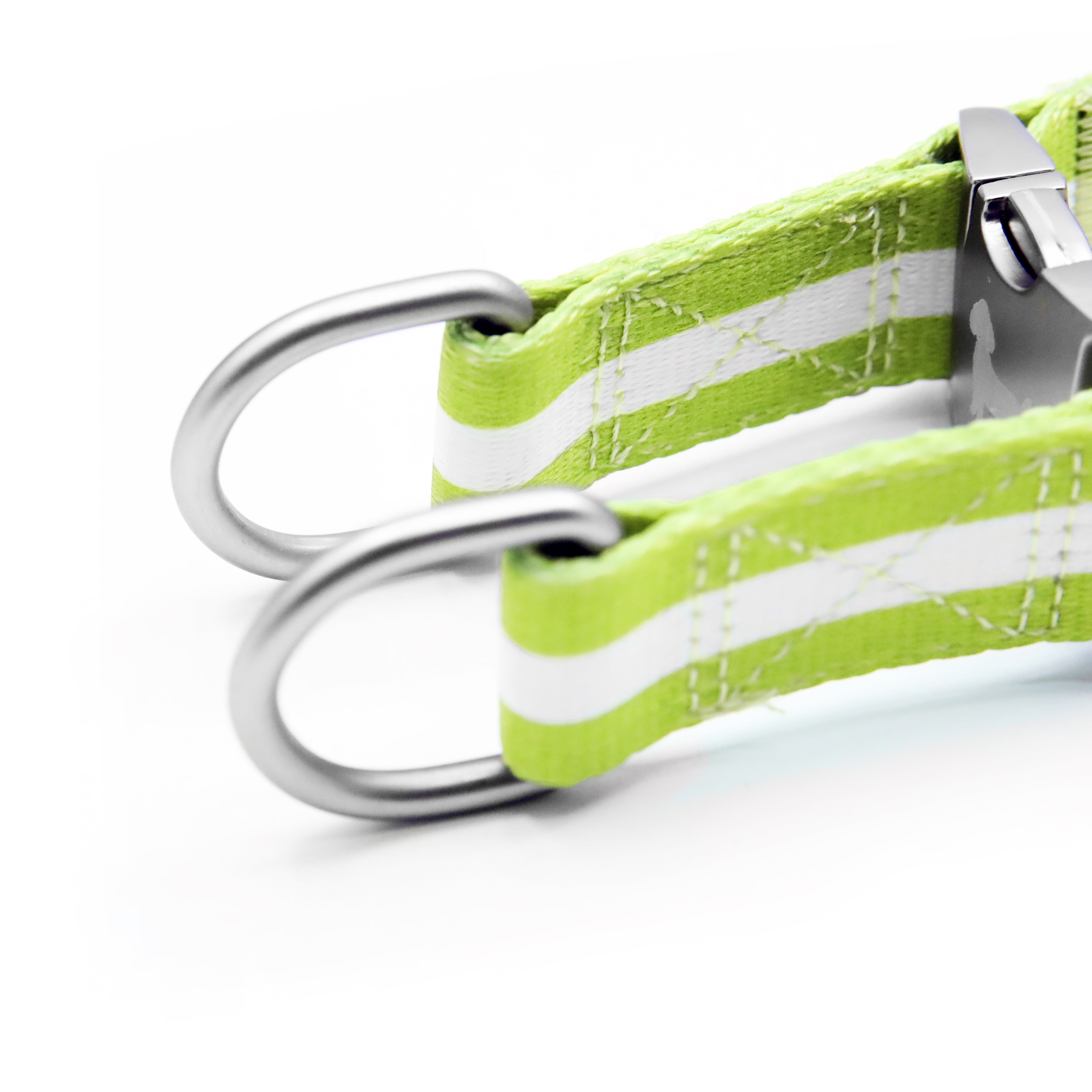 florence by mills Appleskin Leather Dog Harness