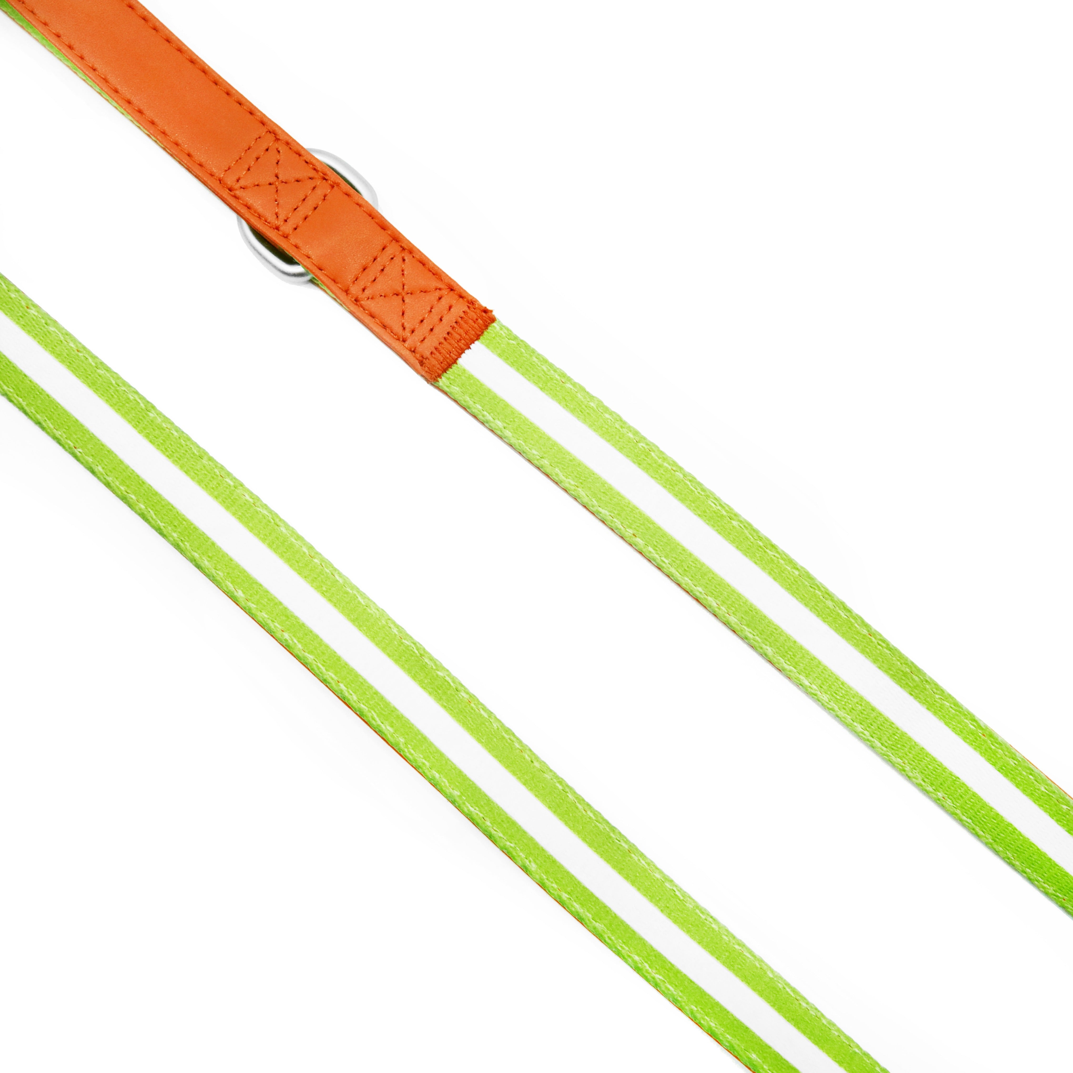 florence by mills Appleskin Leather Dog Leash