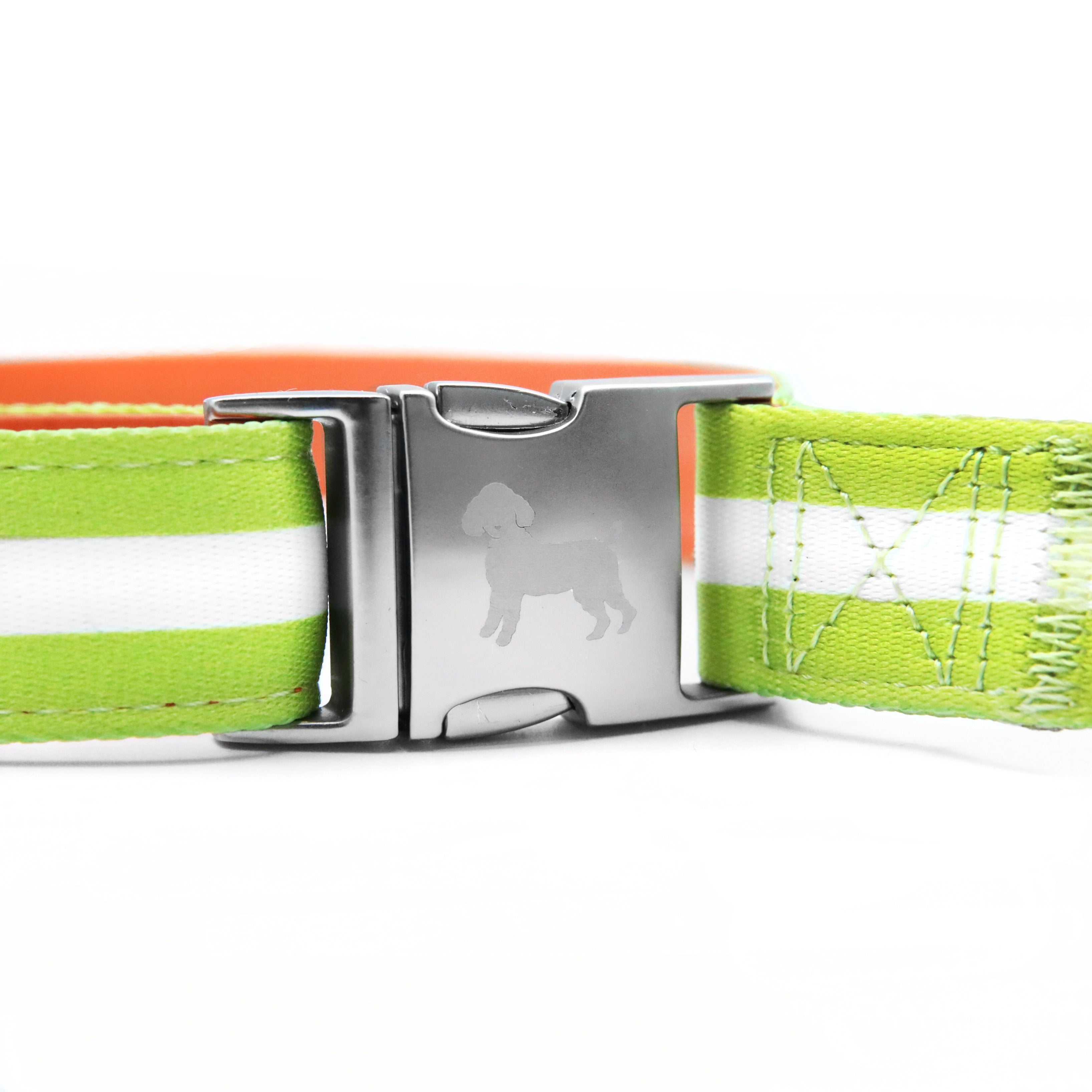 florence by mills Crossbody Dog Leash