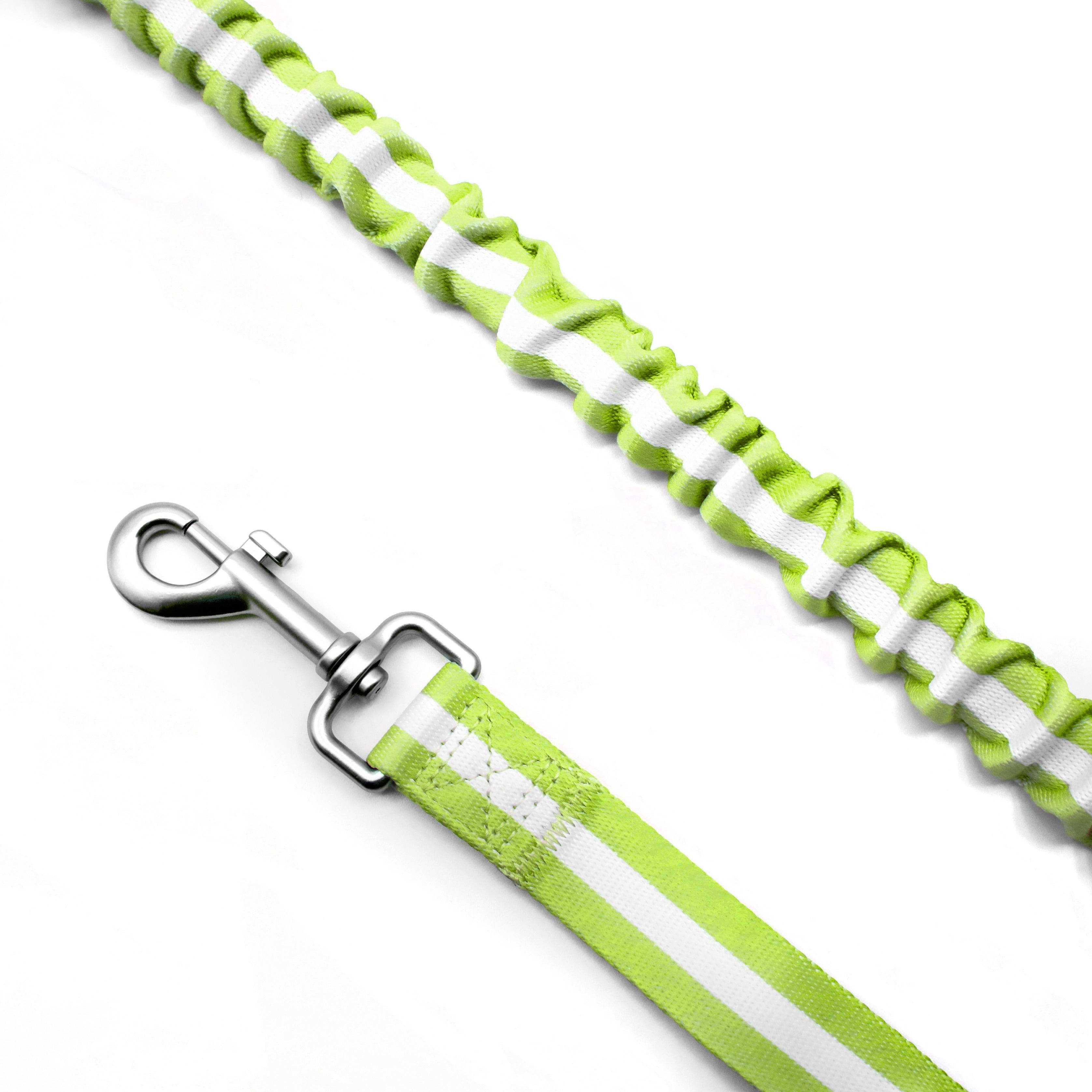 florence by mills Crossbody Dog Leash