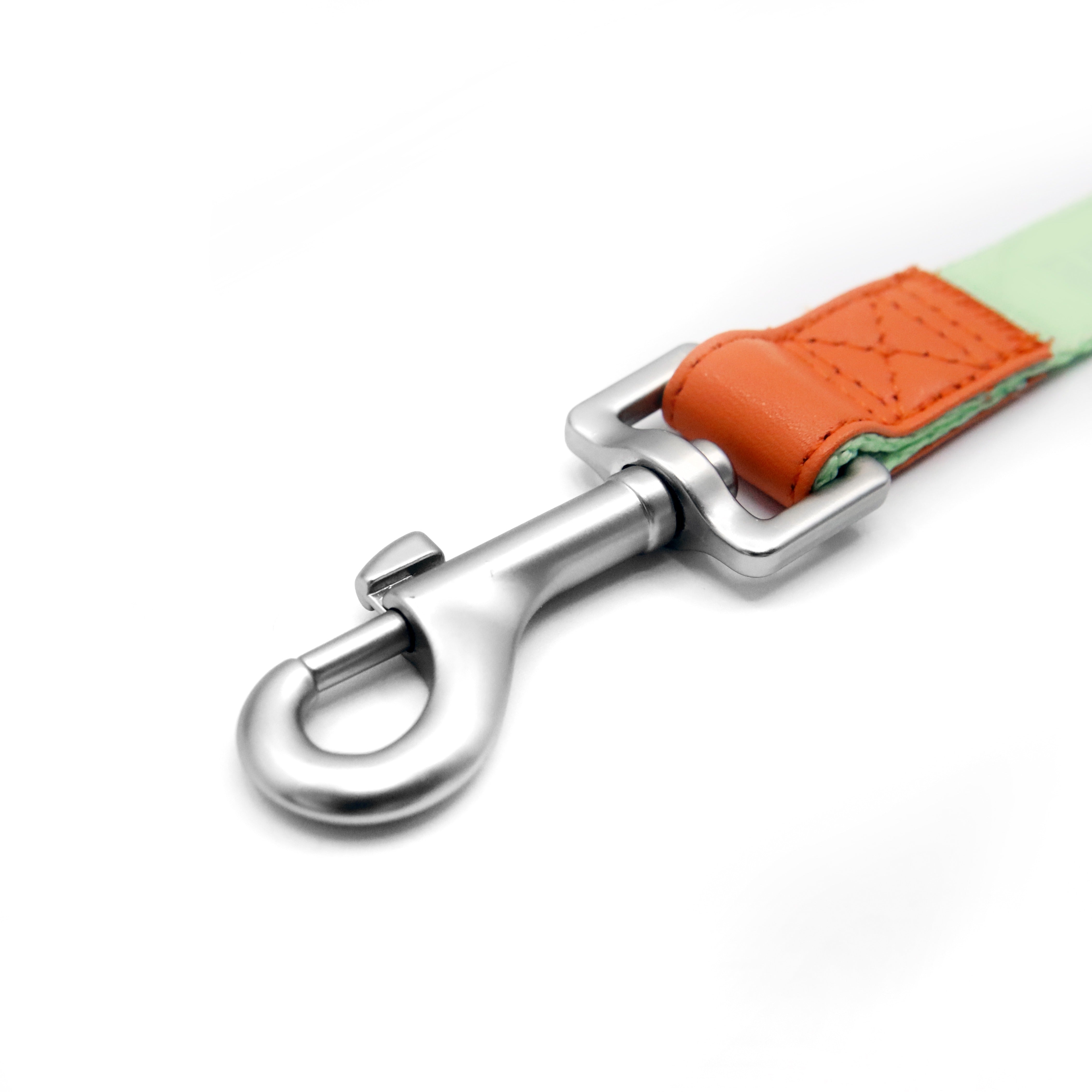 florence by mills Dog Leash