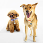 florence by mills Dog Appleskin Collar with Letter Tag