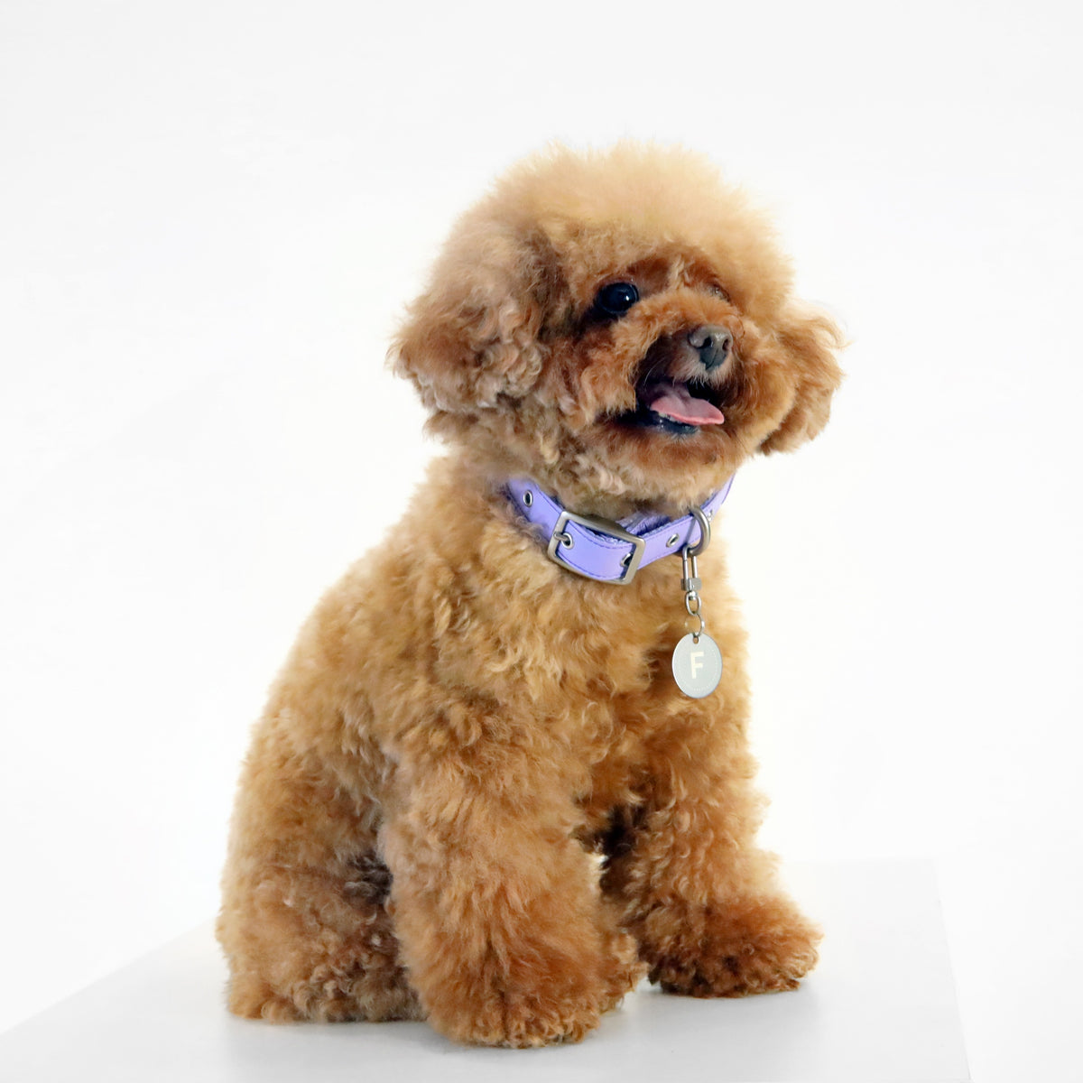florence by mills Dog Appleskin Collar with Letter Tag