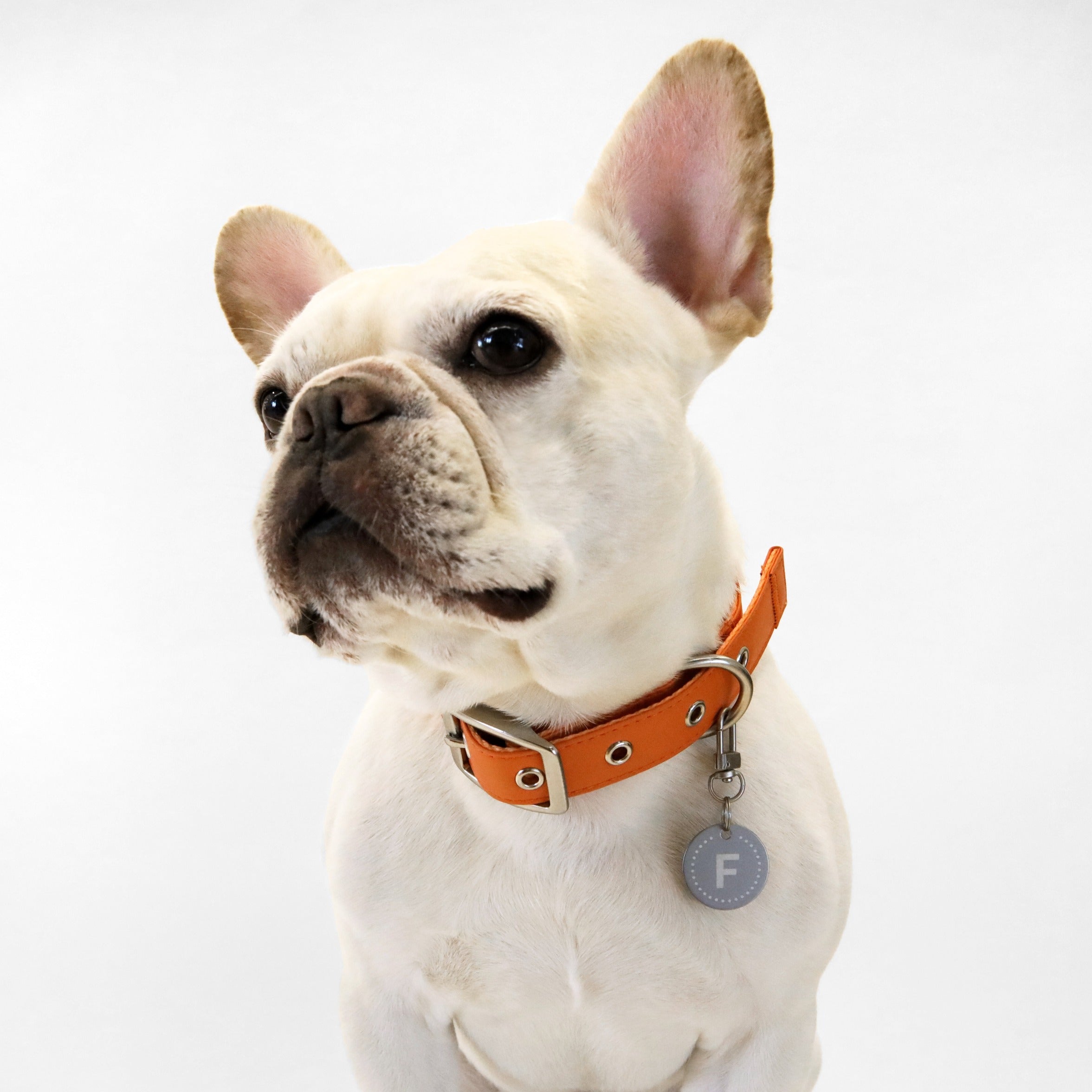 florence by mills Dog Appleskin Collar with Letter Tag