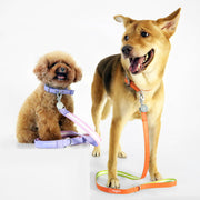 florence by mills Appleskin Leather Dog Leash