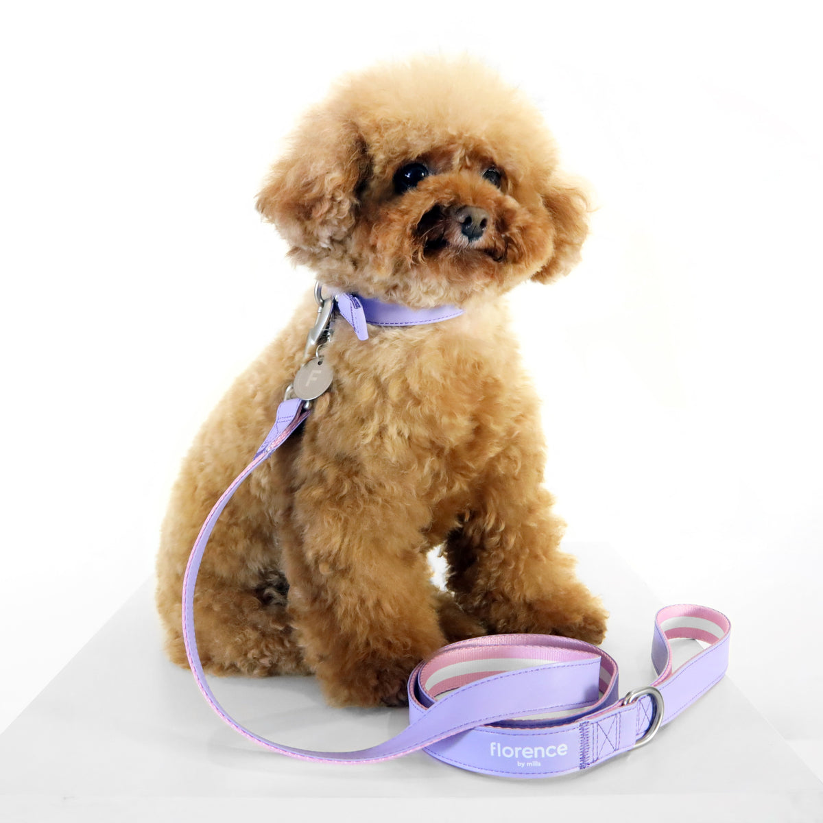 florence by mills Appleskin Leather Dog Leash