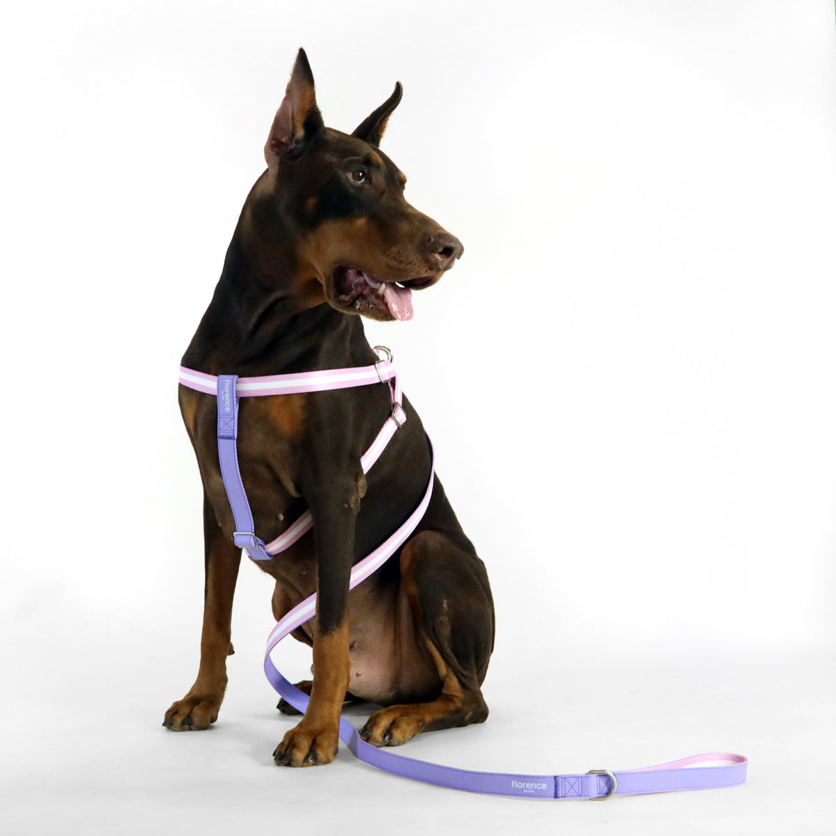 florence by mills Appleskin Leather Dog Leash