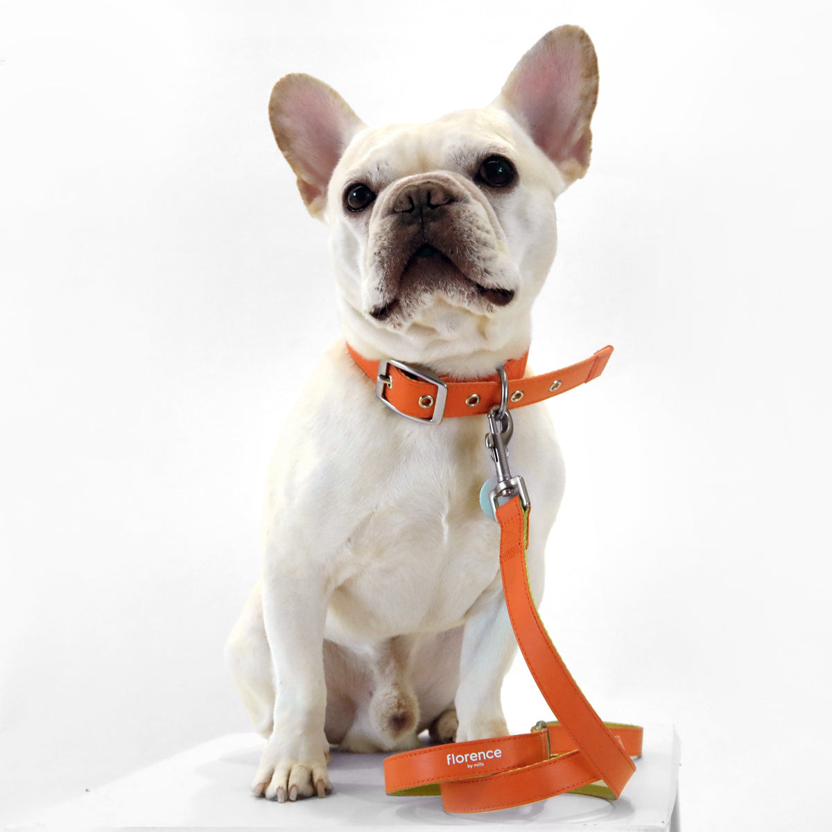 florence by mills Appleskin Leather Dog Leash