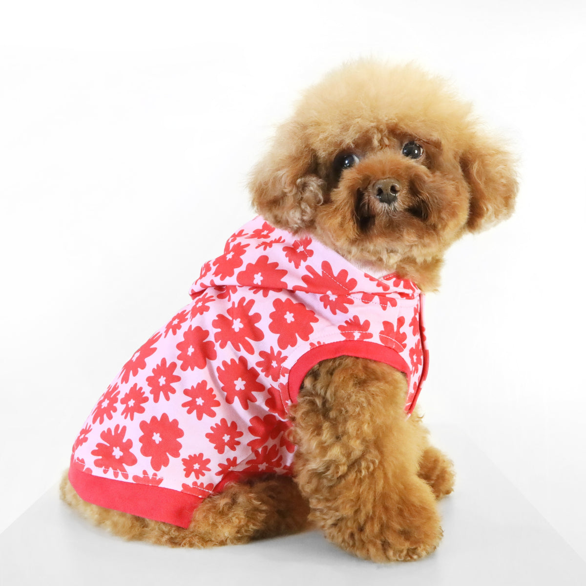 florence by mills Dog Hoodie