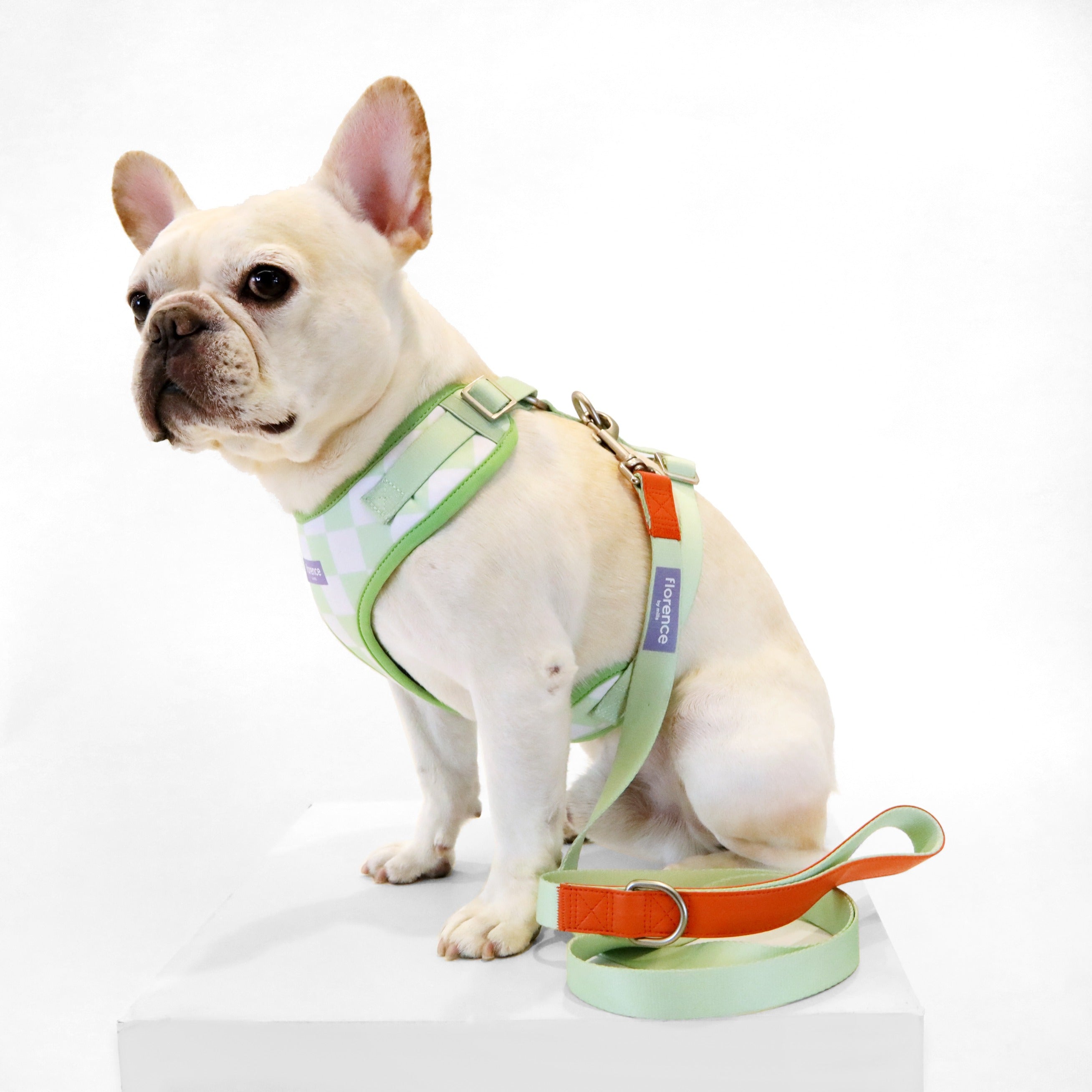 florence by mills Dog Leash
