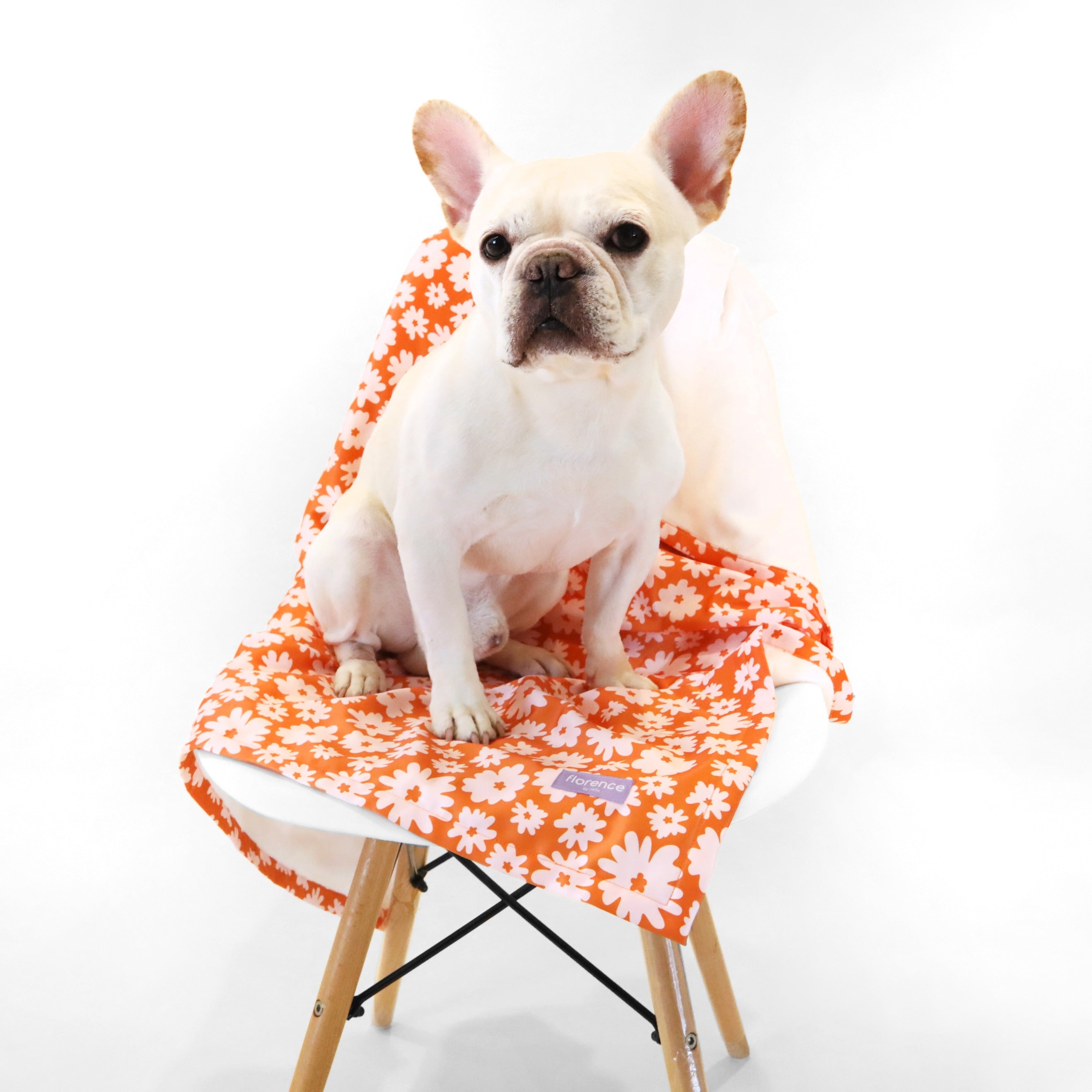 florence by mills Dog Throw Blanket