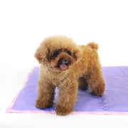 florence by mills Foldable Travel Mat for Dogs