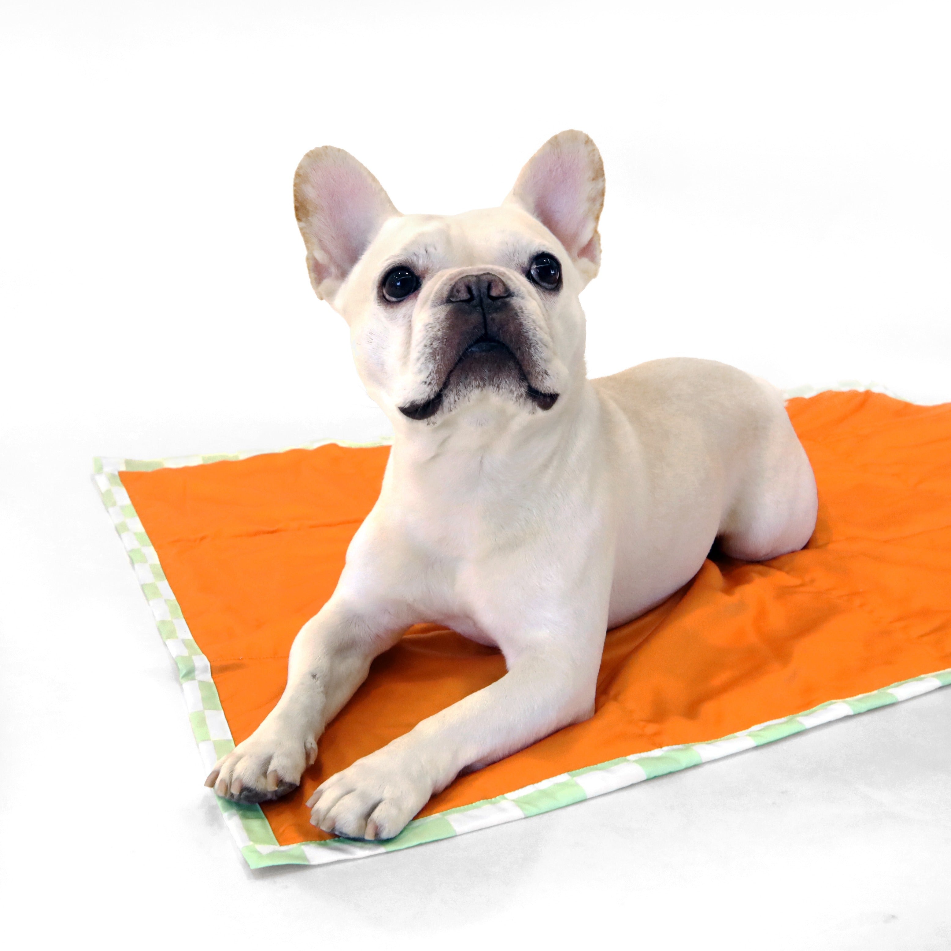 florence by mills Foldable Travel Mat for Dogs