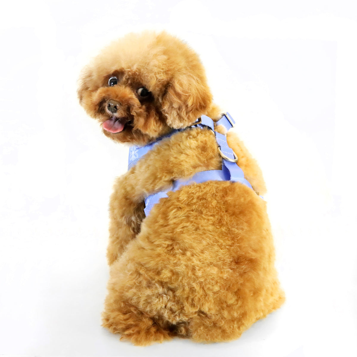 florence by mills Print Harness for Dogs