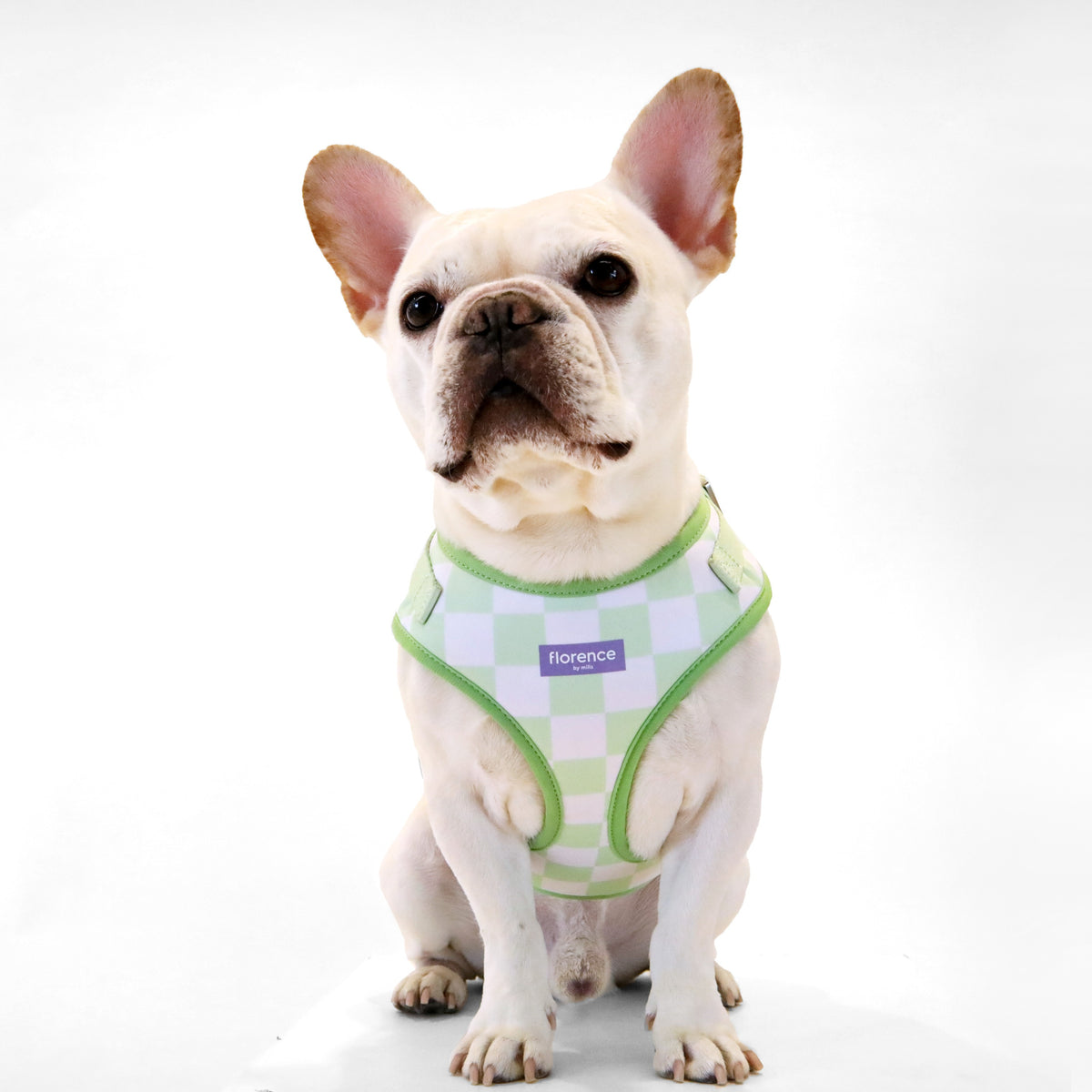 florence by mills Print Harness for Dogs