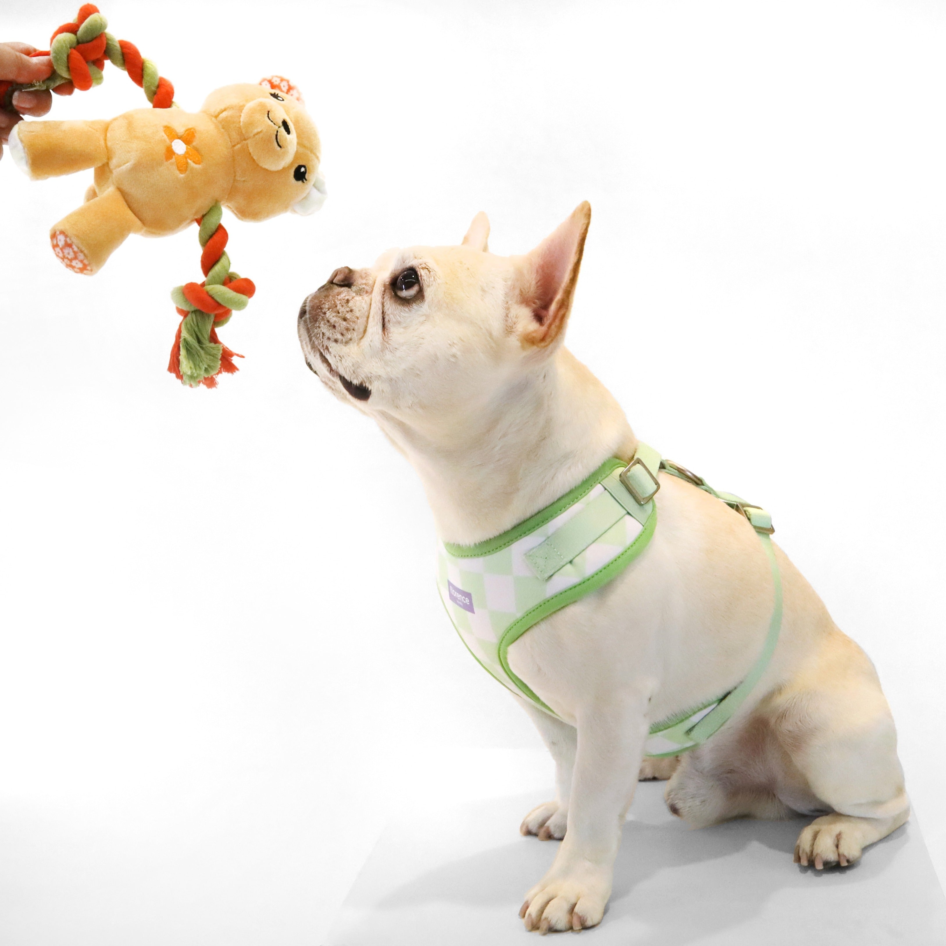 florence by mills Print Harness for Dogs