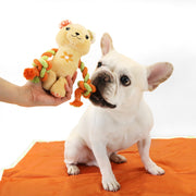 florence by mills Rope Bear Toy for Dogs