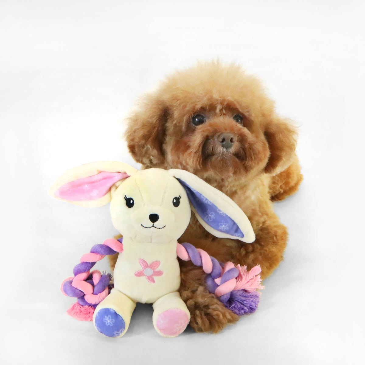 florence by mills Rope Bear Toy for Dogs