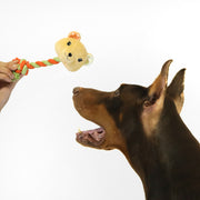 florence by mills Rope Toy for Dogs