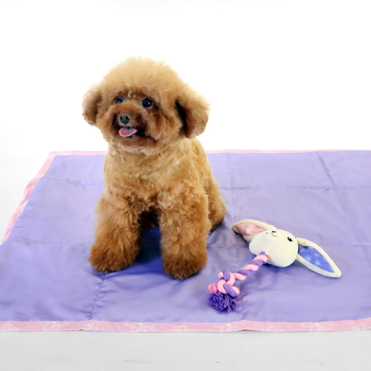 florence by mills Rope Toy for Dogs