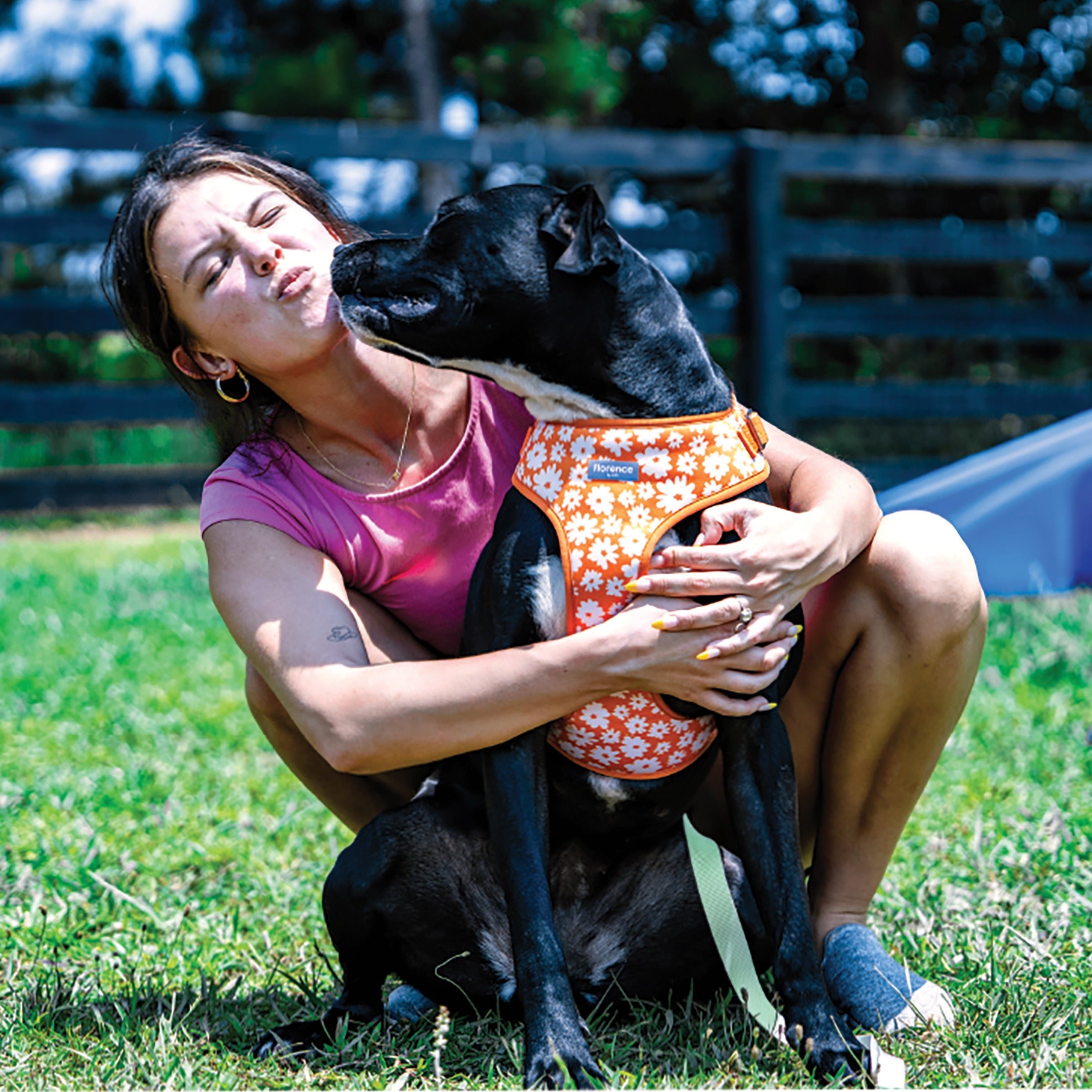 florence by mills Print Harness for Dogs