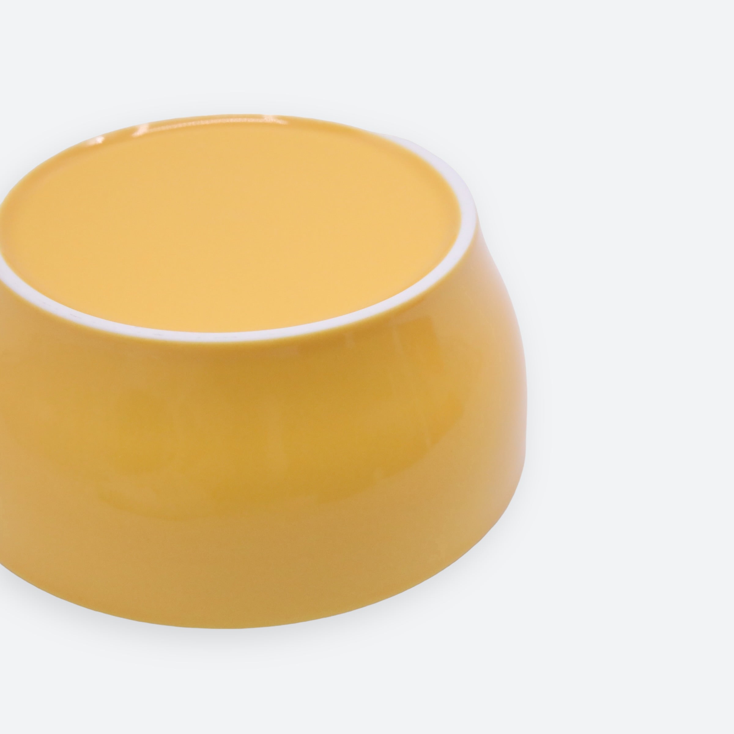 Polo Ralph Lauren Dog Ceramic Bowl