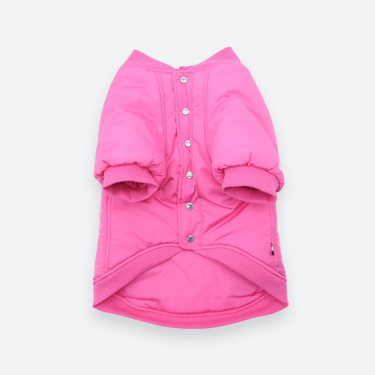Dog Bomber Jacket