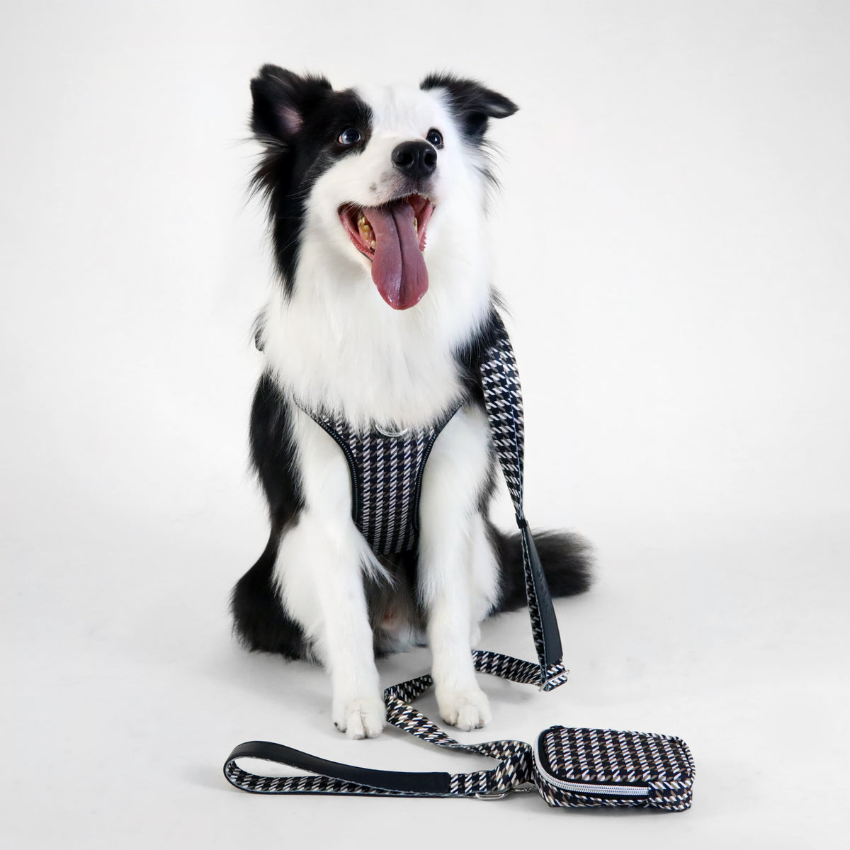 The BOSS Leash