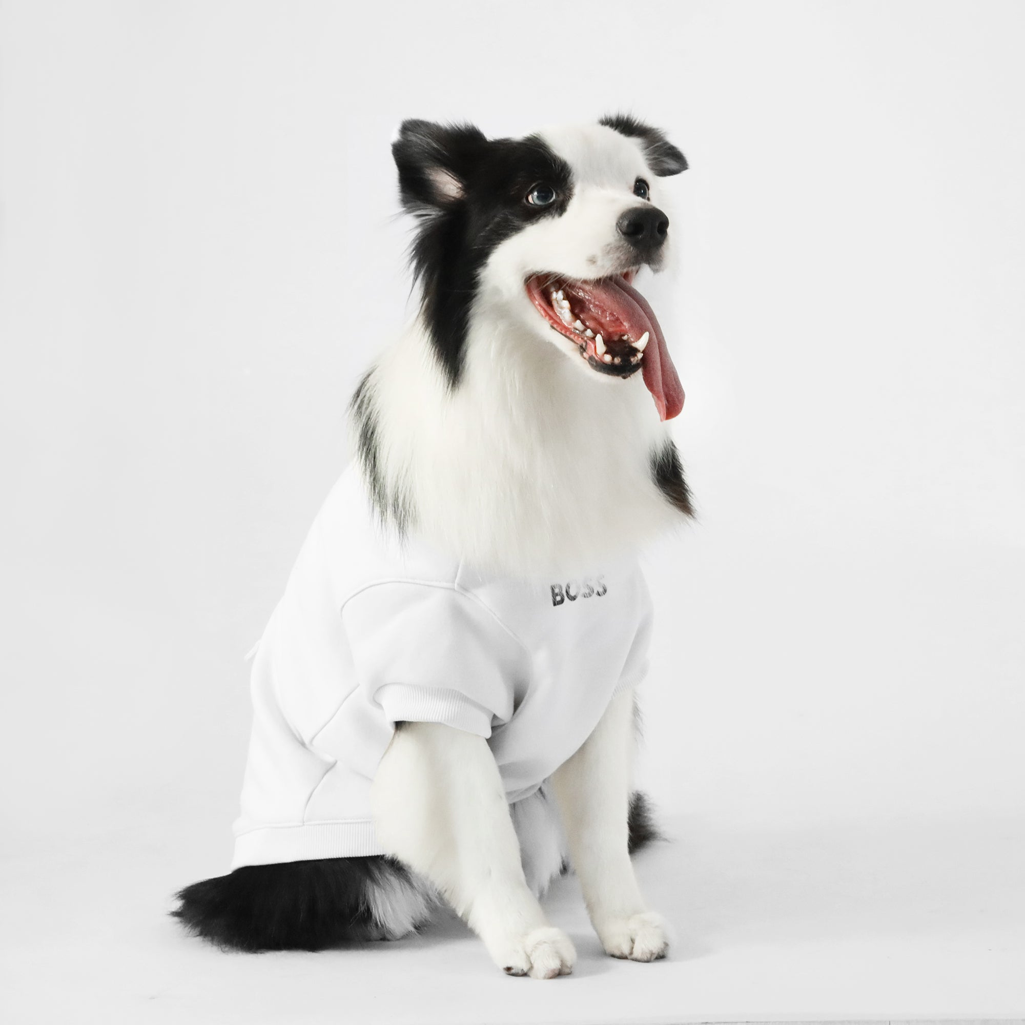 Dog Short Sleeve Crewneck