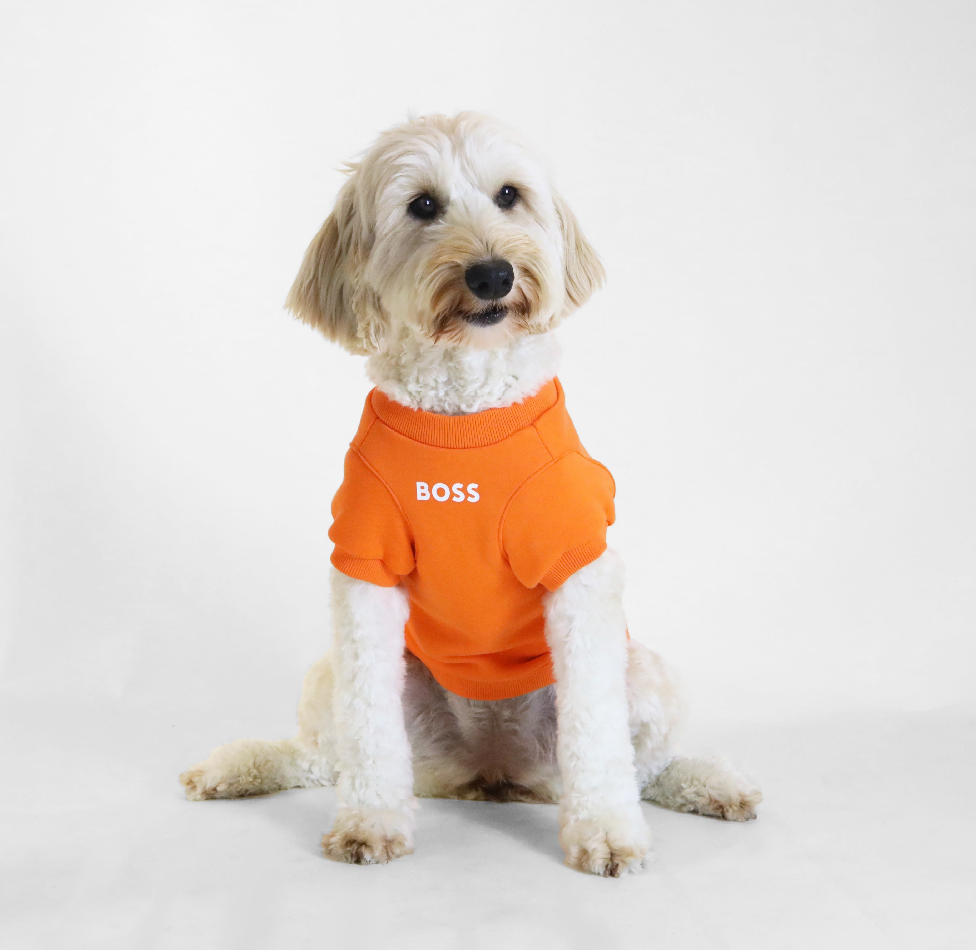 Dog Short Sleeve Crewneck