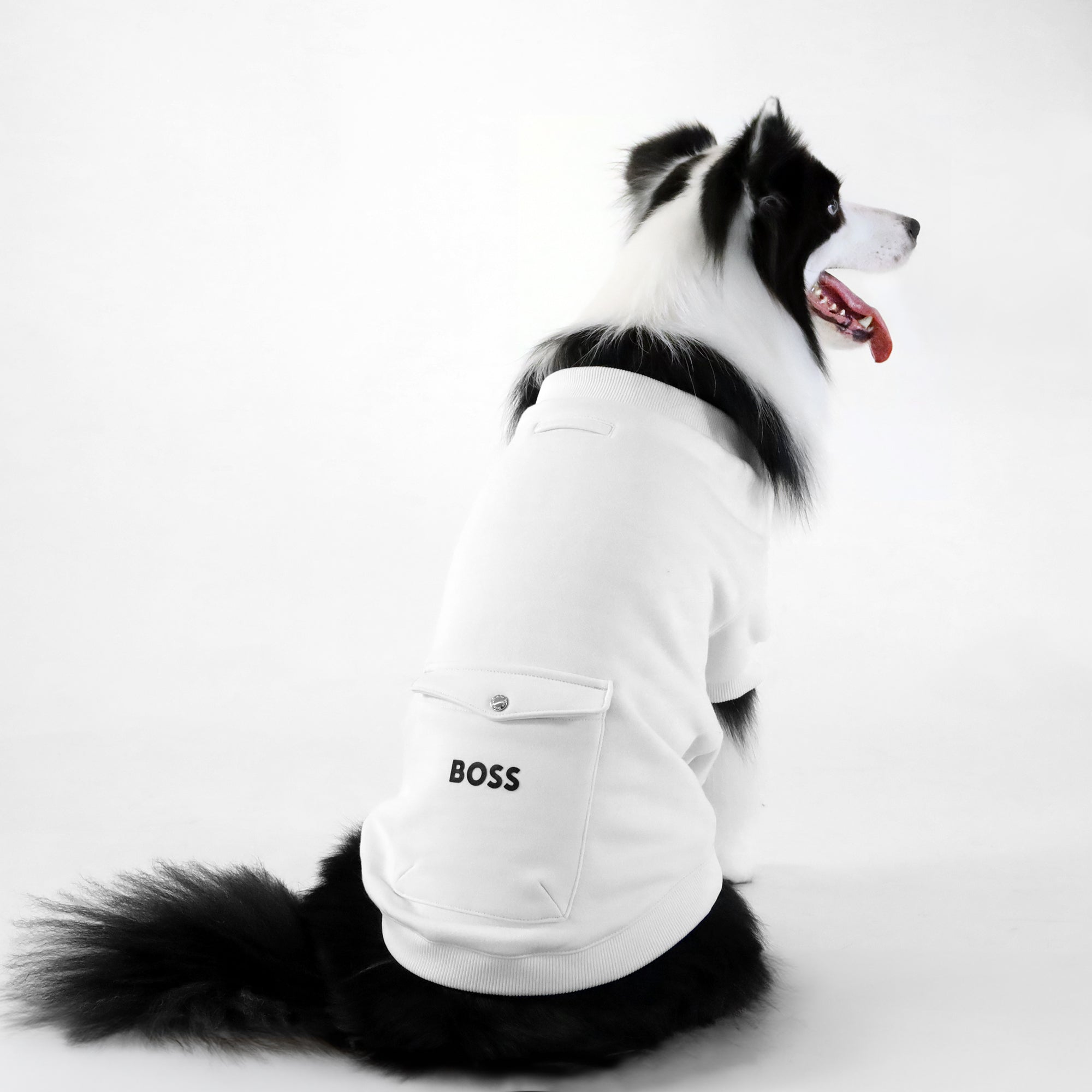 Dog Short Sleeve Crewneck