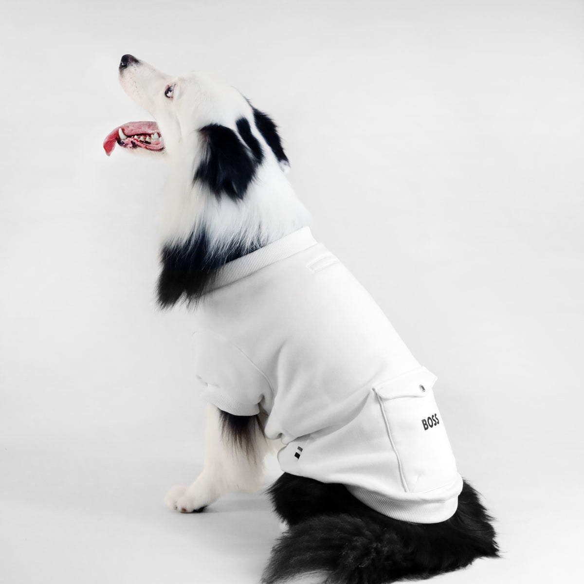 Dog Short Sleeve Crewneck