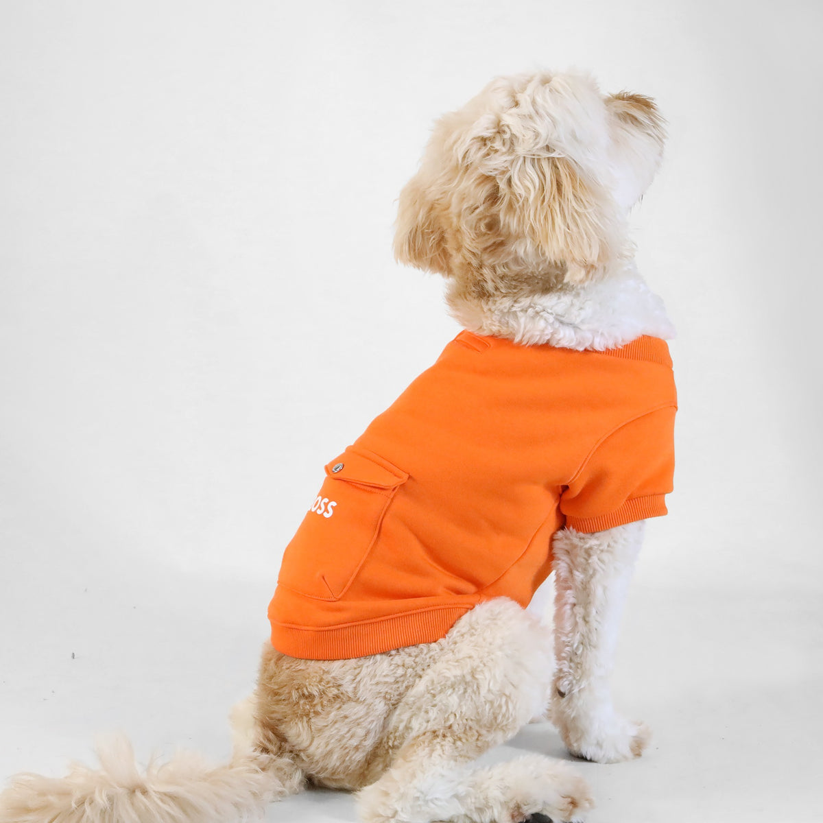 Dog Short Sleeve Crewneck