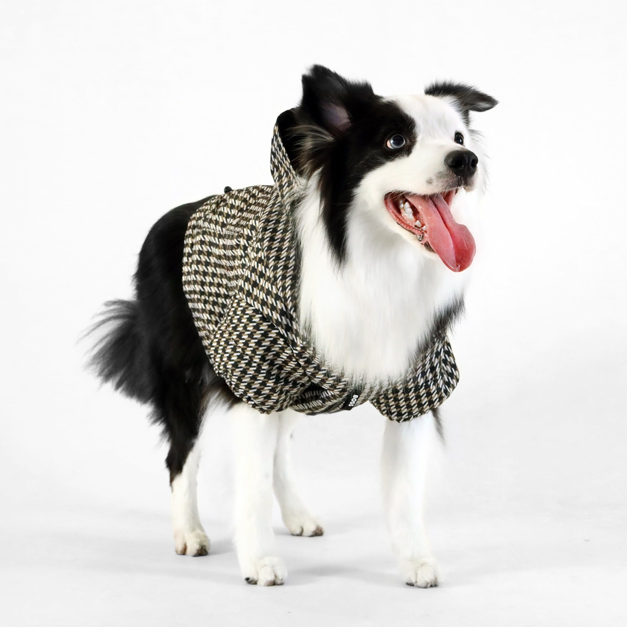 BOSS Dog Rain Jacket