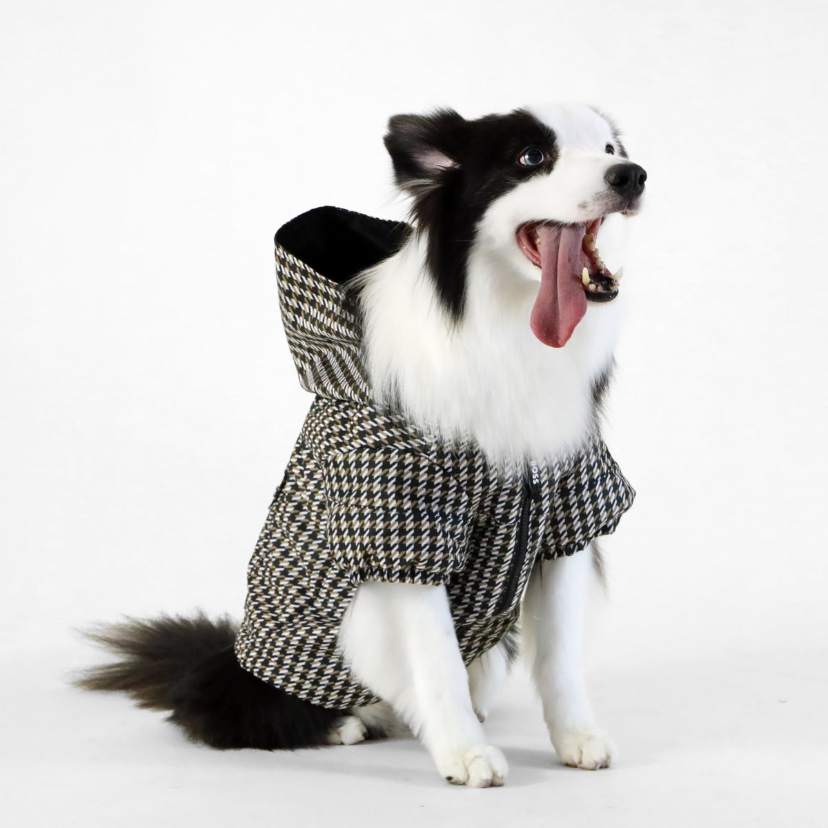 BOSS Dog Rain Jacket