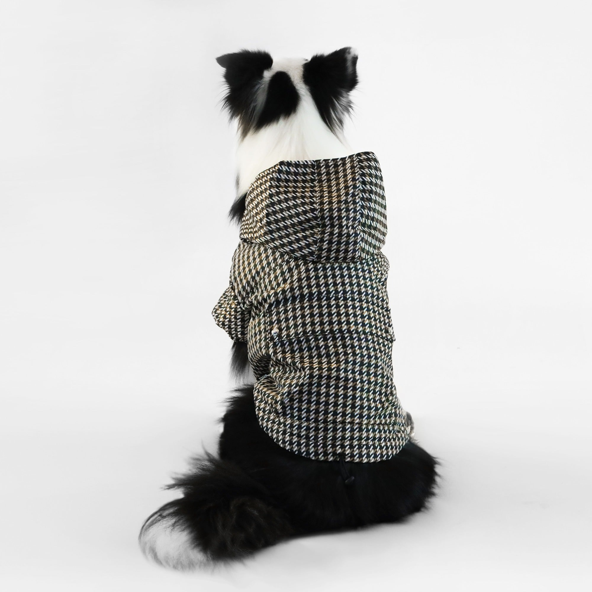 BOSS Dog Rain Jacket