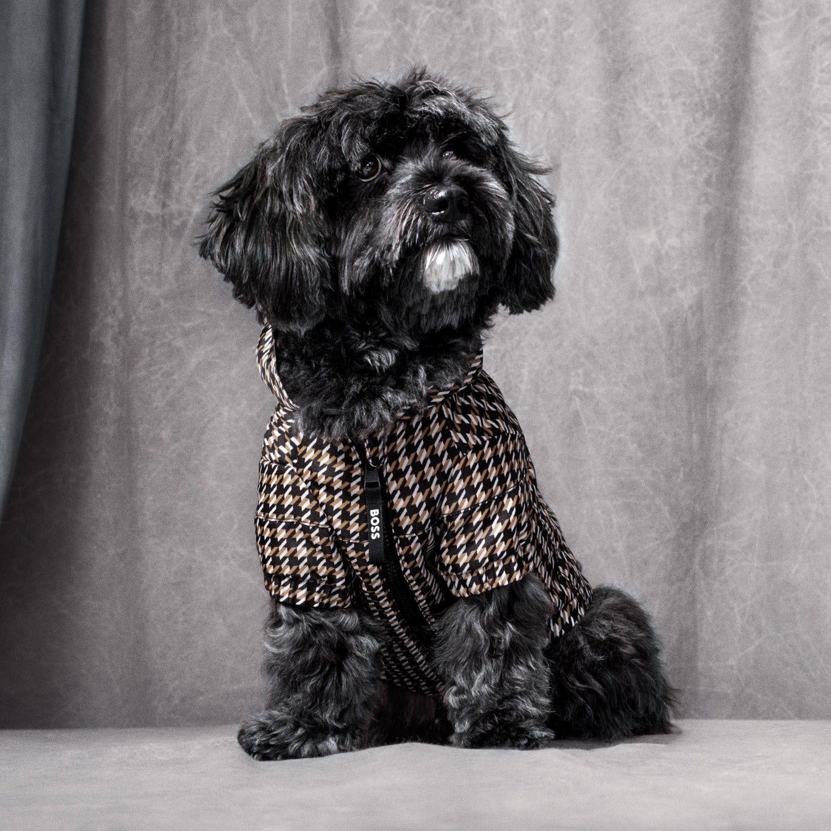 BOSS Dog Rain Jacket