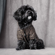 BOSS Dog Rain Jacket