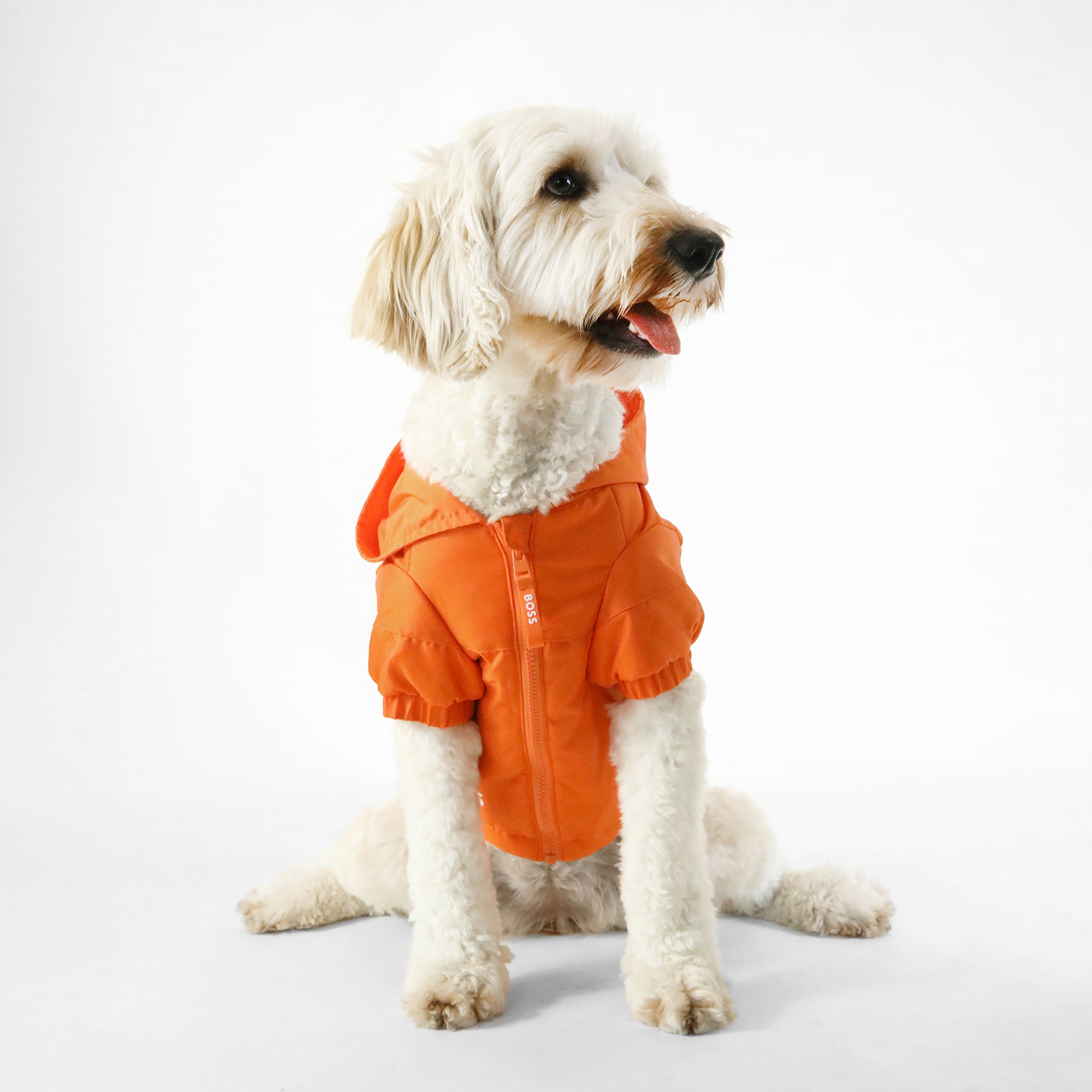 BOSS Dog Rain Jacket