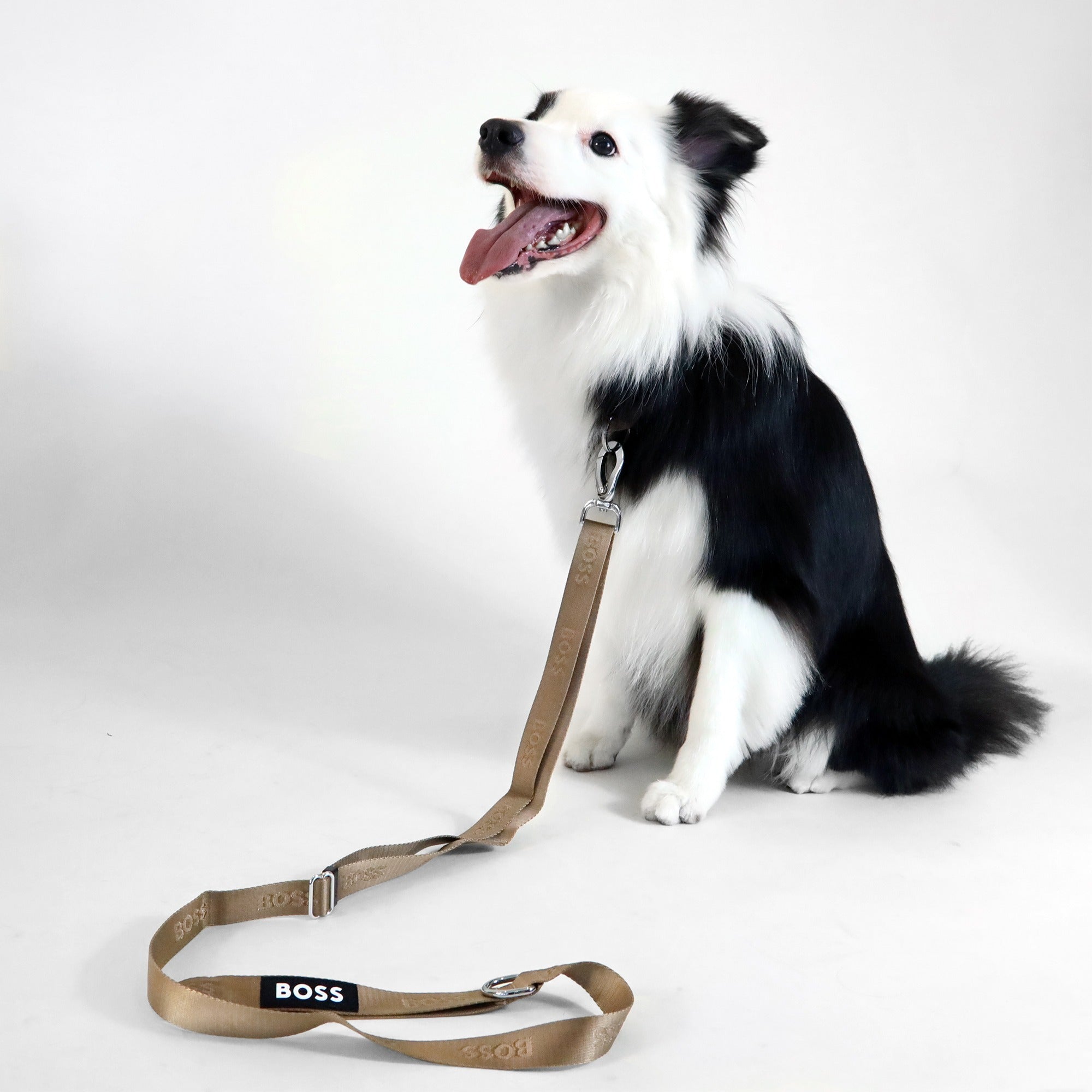 Dog Essentials Leash