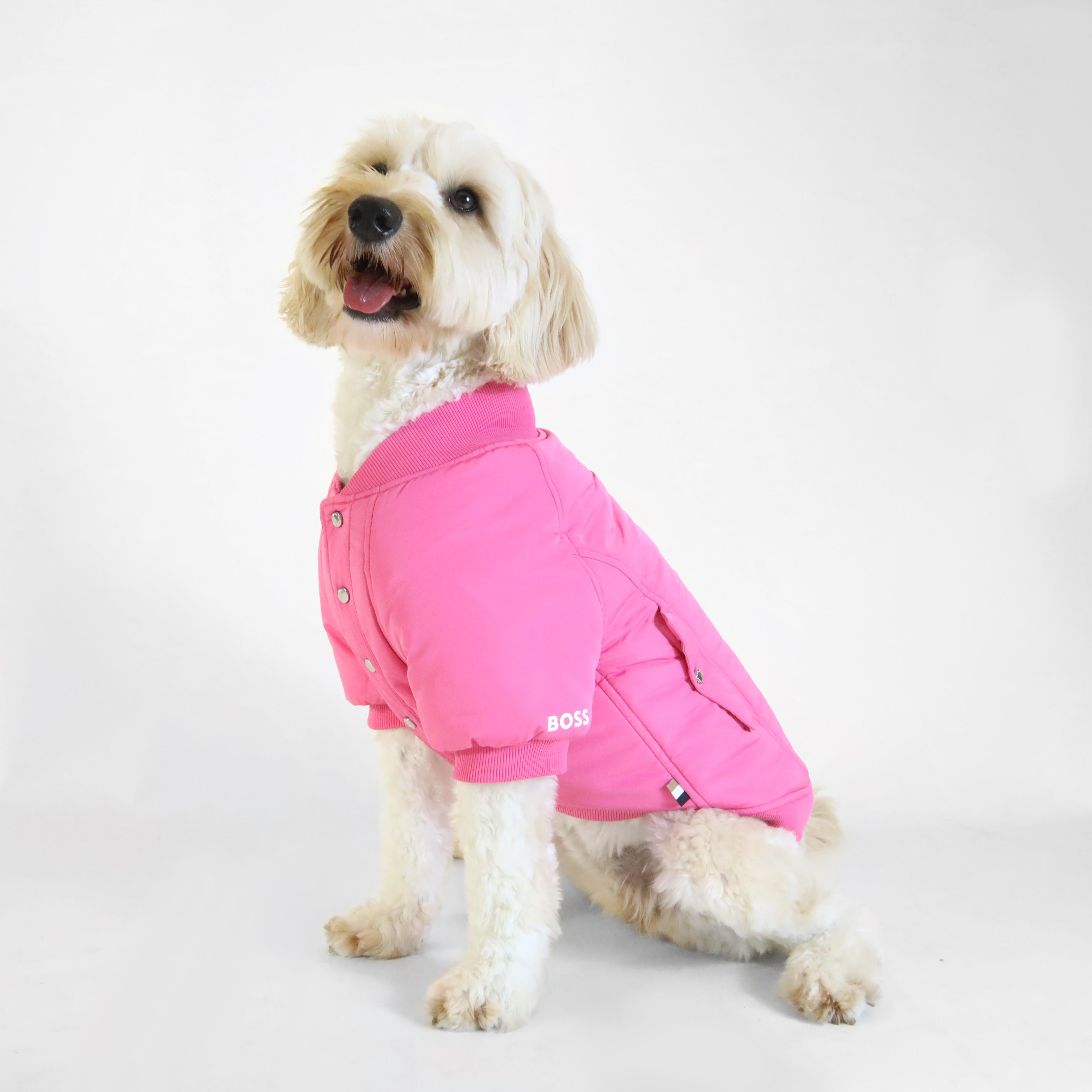 Dog Bomber Jacket