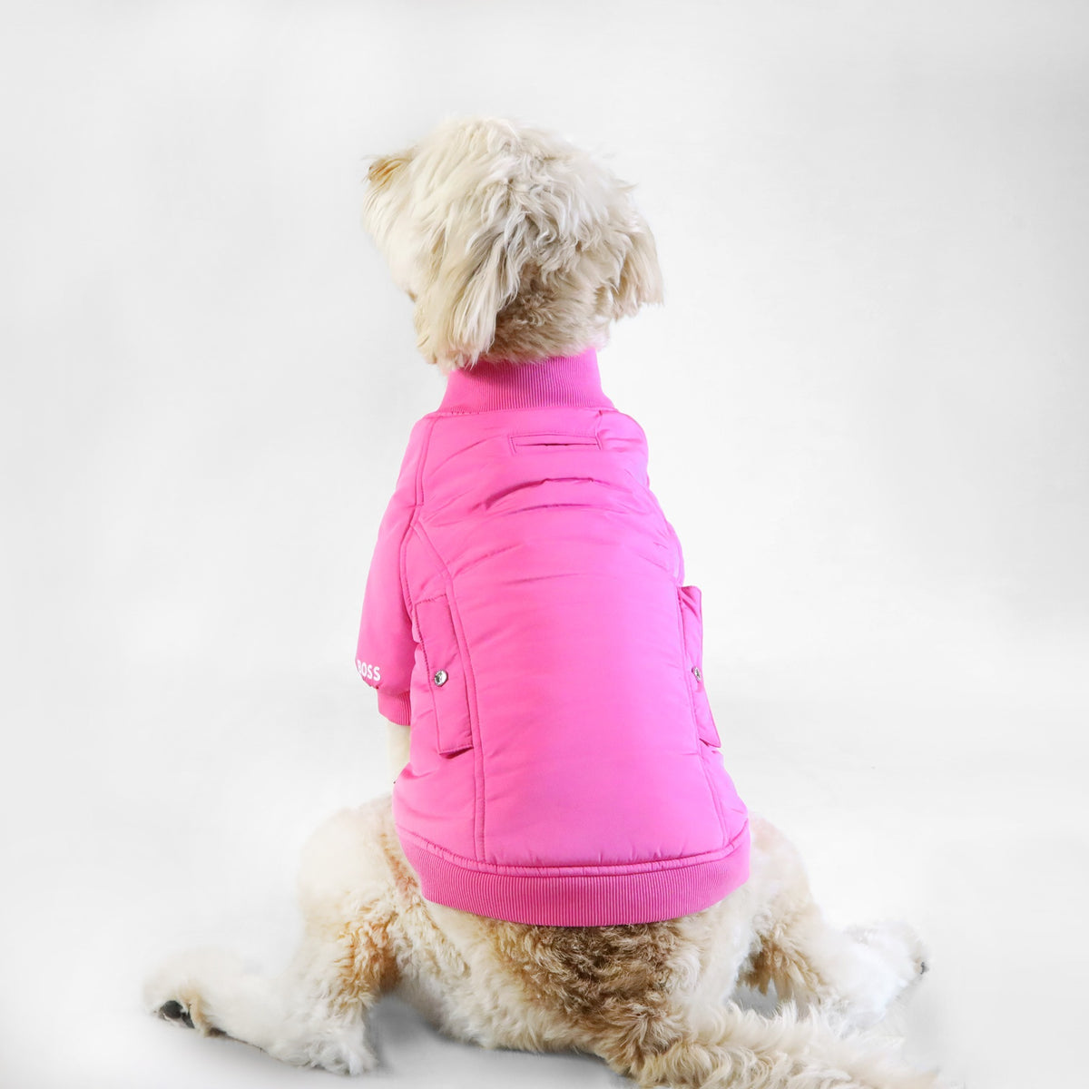 Dog Bomber Jacket