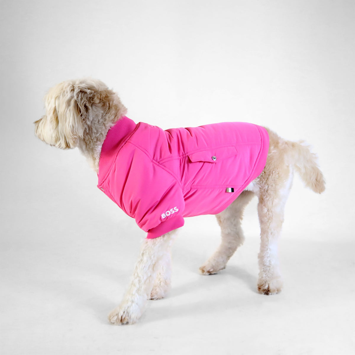Dog Bomber Jacket