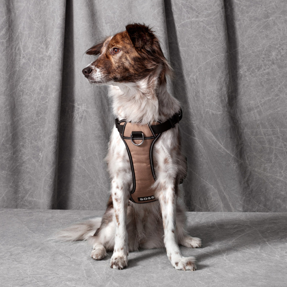 Dog Essentials Harness