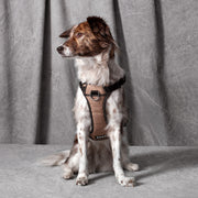Dog Essentials Harness