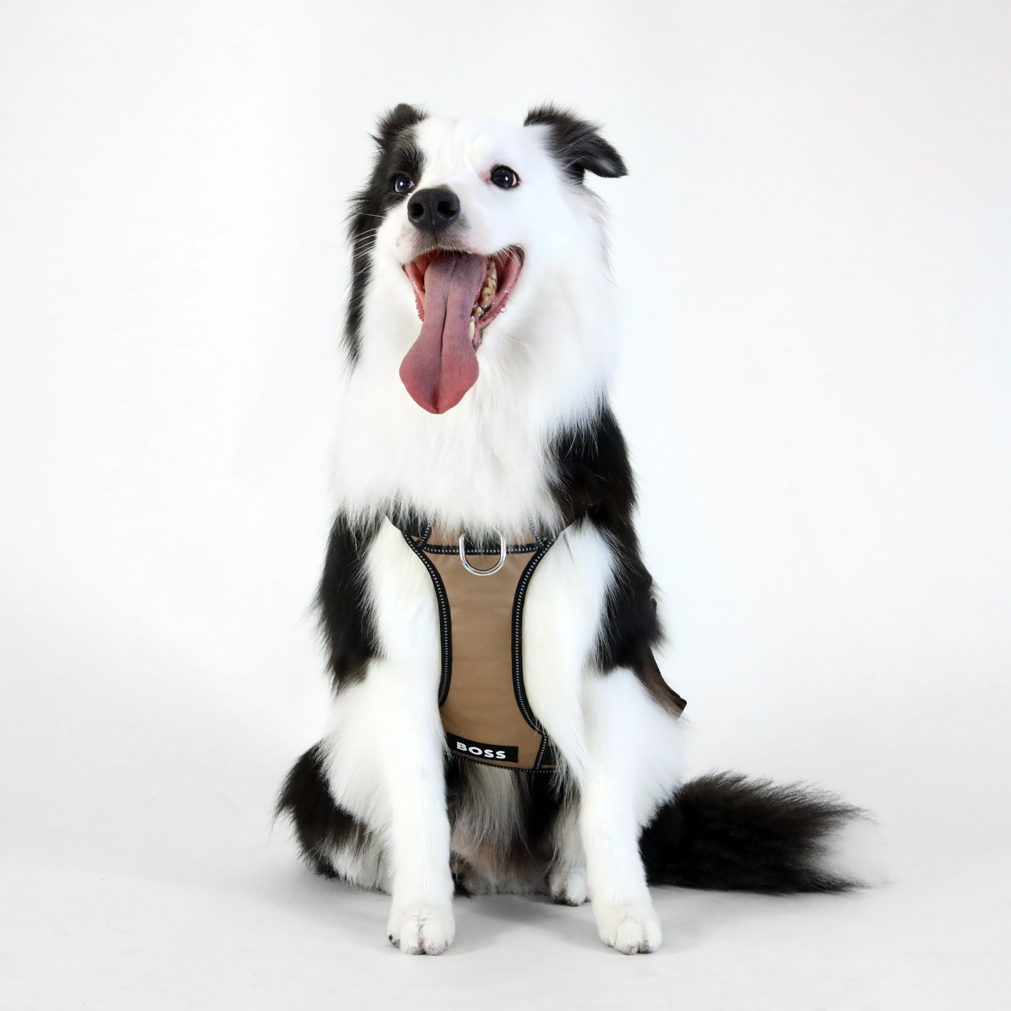 Dog Essentials Harness
