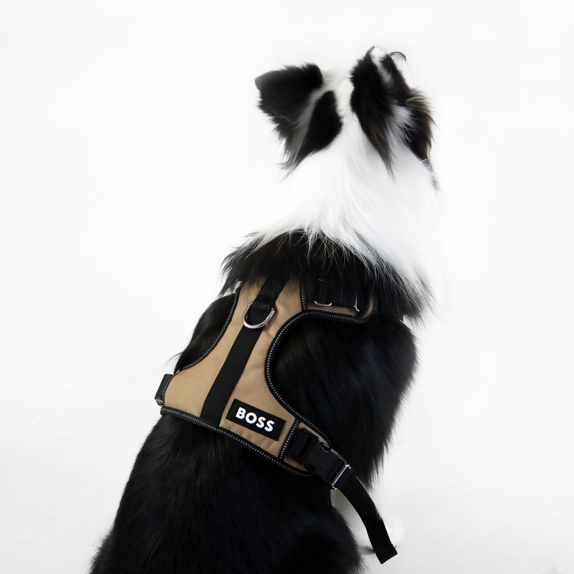 Dog Essentials Harness